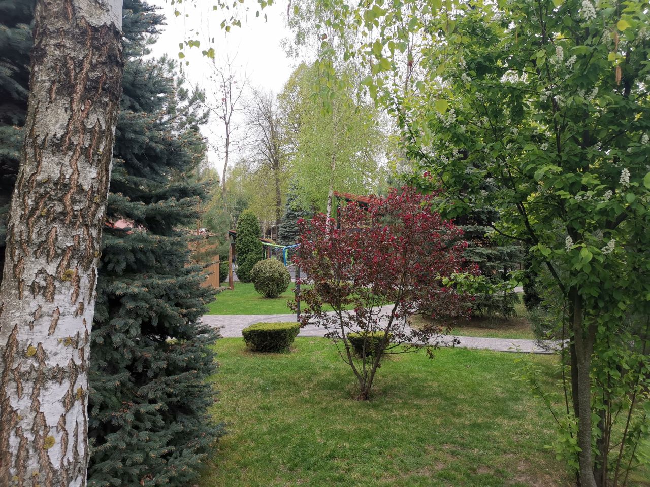 2026-05-02 018